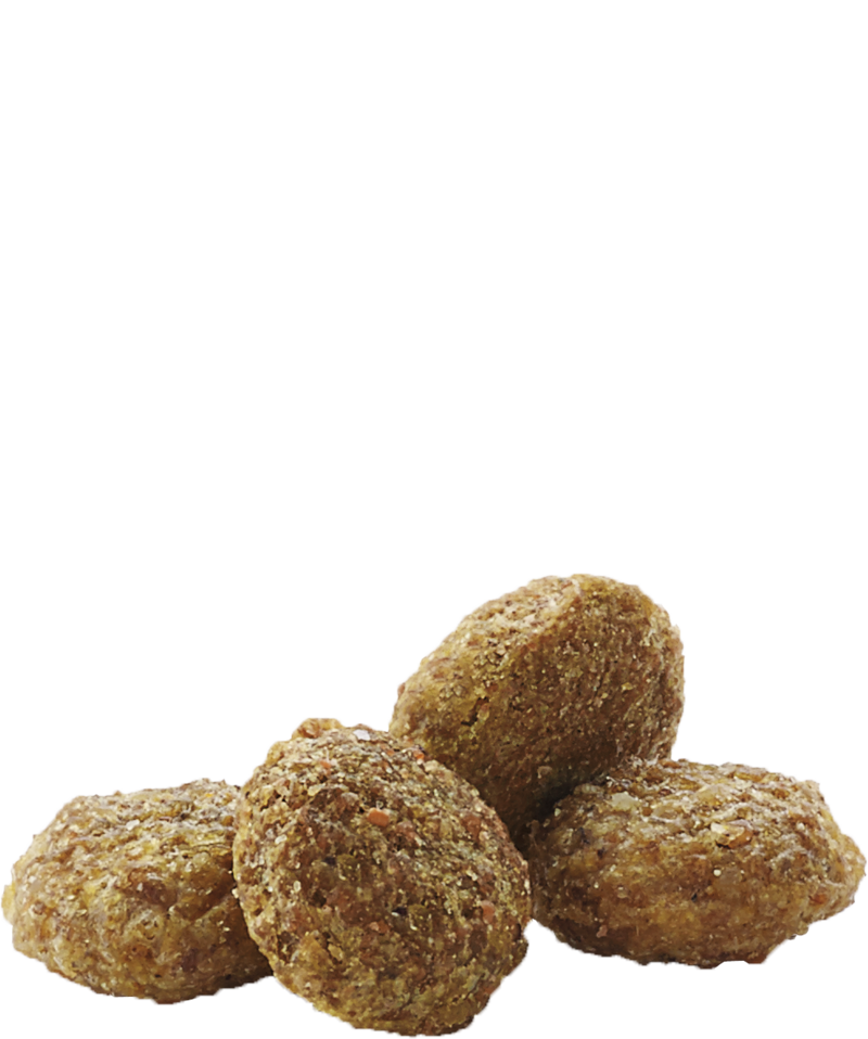 VERSELE LAGA COMPLETE Hamsters (nains) et Gerbilles – Image 3