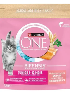 PURINA ONE Junior - Saumon-Céréales Complètes