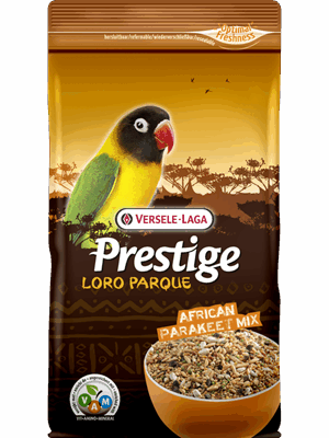 VERSELE LAGA LORO PARQUE Perruches Africaines Parakeet