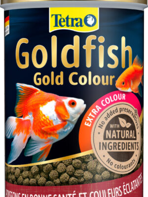 TETRA GOLDFISH Gold Color