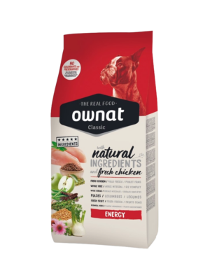OWNAT CLASSIC ENERGY Chien