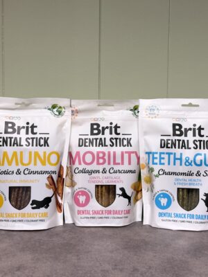 BRIT DENTAL STICK