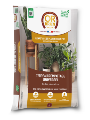 OR BRUN Terreau de Rempotage