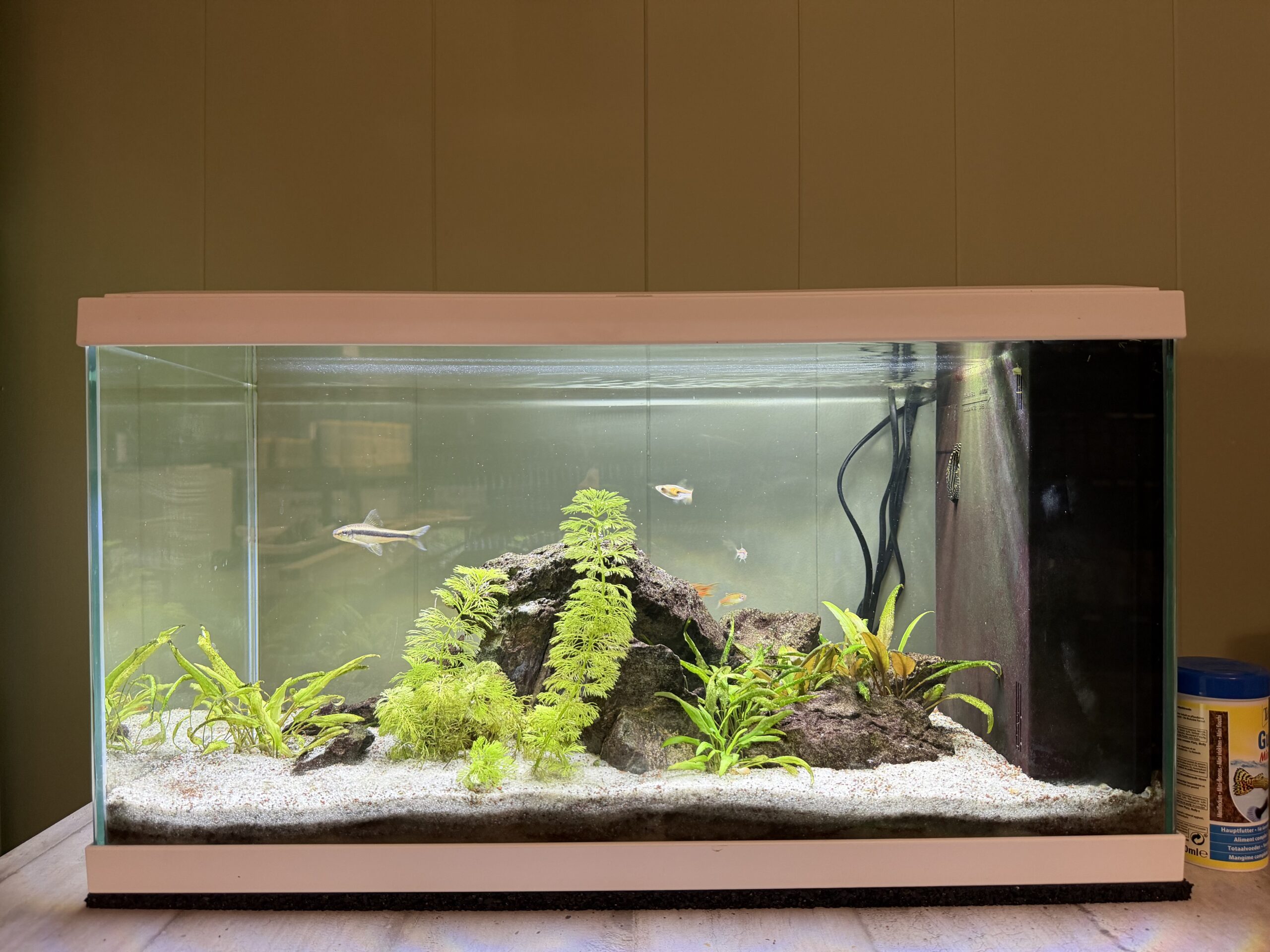 Aquarium en exposition
